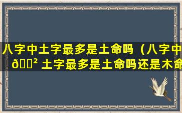 八字中土字最多是土命吗（八字中 🌲 土字最多是土命吗还是木命）
